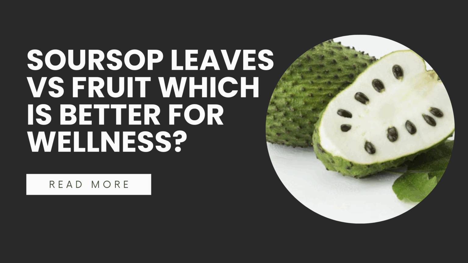 Soursop, also known as Graviola or Annona muricata, is a tropical plant celebrated for its diverse health benefits.