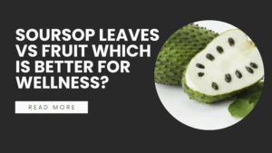 Soursop, also known as Graviola or Annona muricata, is a tropical plant celebrated for its diverse health benefits.