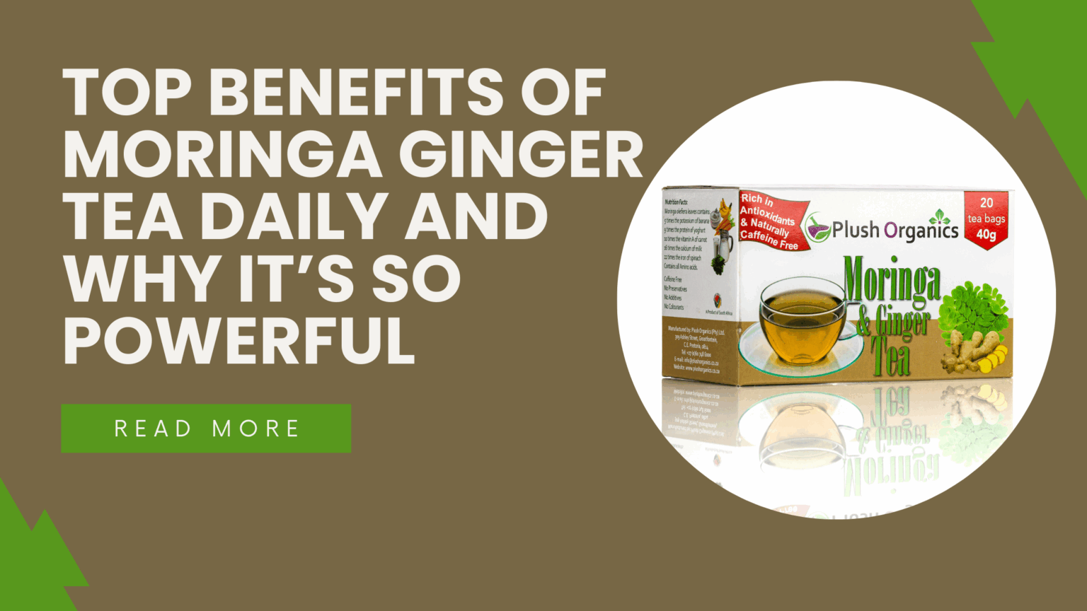 Top Benefits of Moringa Ginger Tea Daily and Why It’s So Powerful